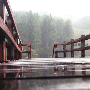 雨后木桥倒映森林雾景