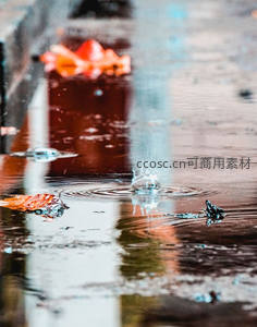 雨滴落入水洼溅起涟漪