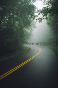 薄雾笼罩的森林蜿蜒公路