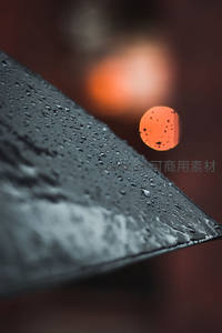 雨滴伞尖，夜色霓虹温柔点缀
