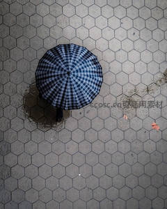 格纹伞下的六边形雨地