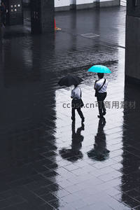 雨中同行的两人身影