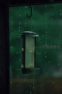 雨滴敲打悬挂鸟食器特写