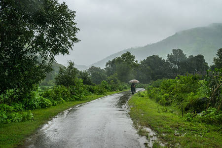 雨中山路行人撑伞，绿野苍茫云雾绕