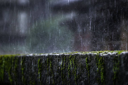 雨滴敲打长满青苔的石墙