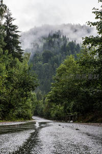 雾锁山林的蜿蜒雨路