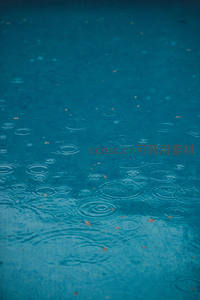 雨点涟漪扩散，水面落叶点缀