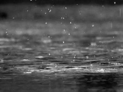 黑白雨景，诗意水韵