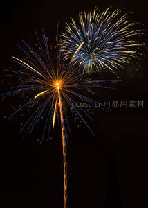 双色烟花在夜空绽放如花