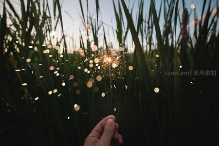 手握烟花棒在芦苇丛中闪烁