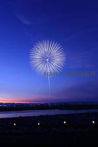 夜空绽放的白色烟花照亮河畔人群