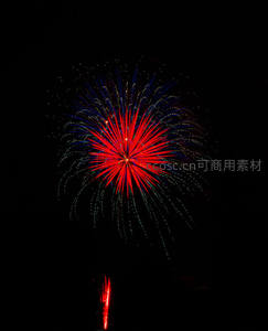 夜空绽放红蓝烟花，绚烂夺目