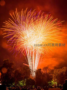 公园夜空烟花绽放，人群仰望共庆