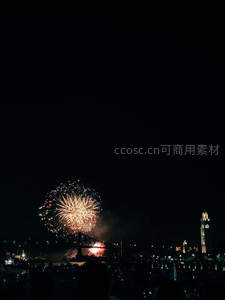 城市夜空下绚丽烟花照亮钟楼