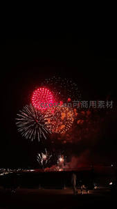 夜空绽放的绚烂烟花盛宴