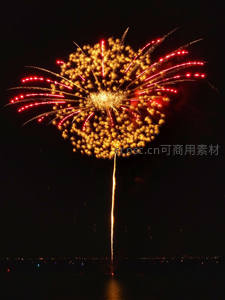 金色菊花状烟花点亮夜空