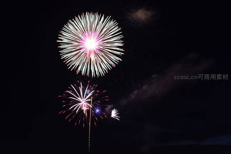 粉色与白色烟花点亮静谧夜空