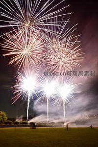 夜空绽放的绚烂烟花盛宴