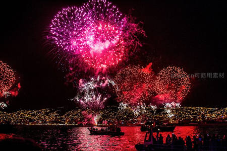 夜空绽放的绚烂烟花秀