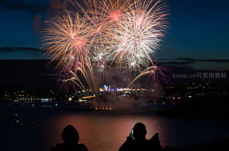 夜空绽放的绚烂烟花秀