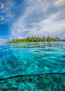 水陆交界天堂美景，珊瑚海底椰林摇曳