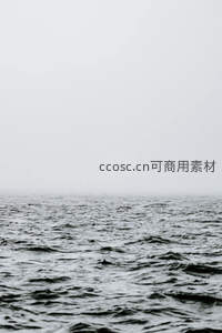 雾霭笼罩的海平面，灰白世界中的孤寂之美