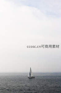 孤帆远影碧空尽，一叶扁舟任漂泊