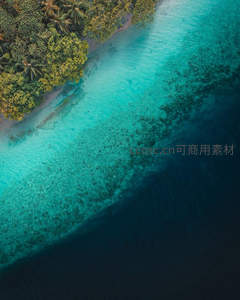 热带丛林入海处，碧水渐变深蓝