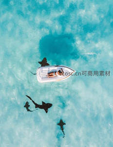 浮床上休憩与鲨鱼共舞