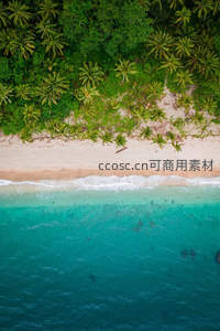 鸟瞰椰林海滩，碧海白沙绿意盎然