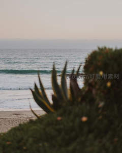 海岸绿植前景，海浪轻拍沙滩