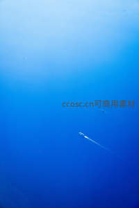 深蓝海域中，快艇划出银色轨迹