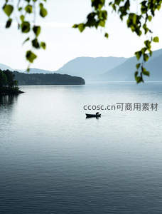 绿叶掩映，孤舟泛于静谧湖面