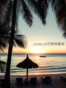 椰影夕阳下的热带海滩剪影