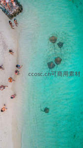 航拍视角，游客与鳐鱼共舞碧海白沙间
