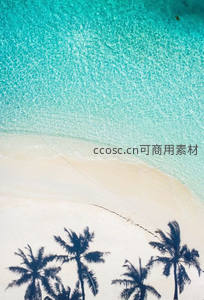 航拍视角下的椰影白沙与碧海