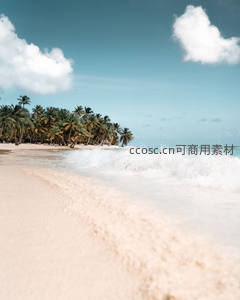 椰林掩映的海岸线浪花飞溅