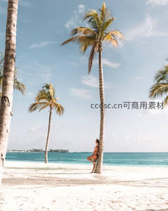椰影婆娑下，女子倚树望海思乡