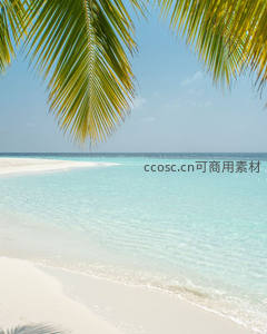 绿叶垂帘处，浅滩碧水接天际