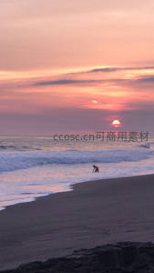夕阳沉海时，孤影拾贝踏浪归家