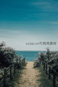 通往蔚蓝海洋的小径