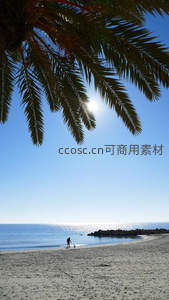 棕榈树下的热带海滩