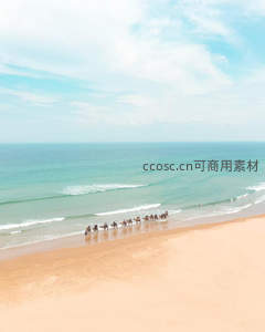 骆驼队行走在碧海金沙的海岸线上