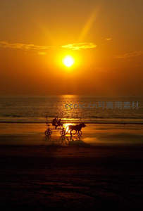 夕阳西下马车行，海边剪影浪漫至极