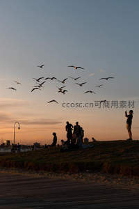 夕阳下海边人群与飞鸟剪影
