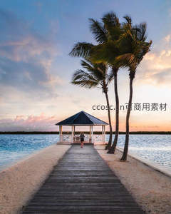 椰林栈道尽头的海边凉亭