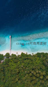 垂直视角椰林白沙，小船停泊碧海之滨