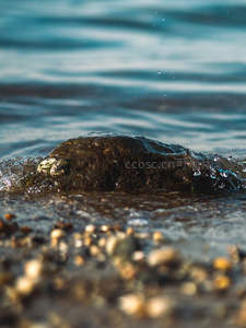 水波轻吻礁石，浪花飞溅瞬间