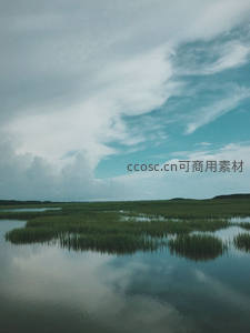 湿地芦苇映云天，水天一色静谧景