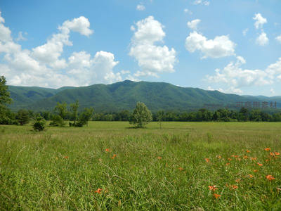 草原野花迎远山，晴空万里云朵闲